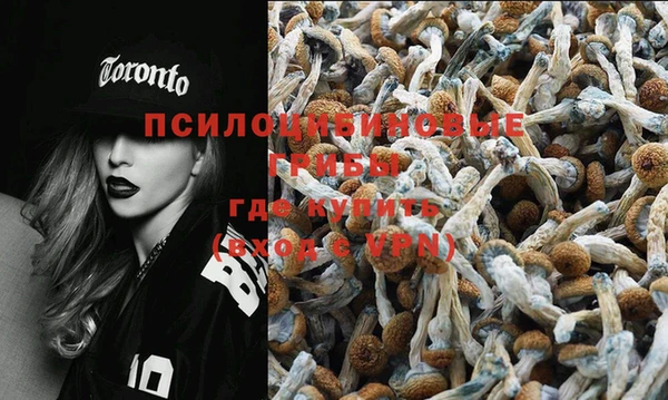 прущий лед Алексеевка