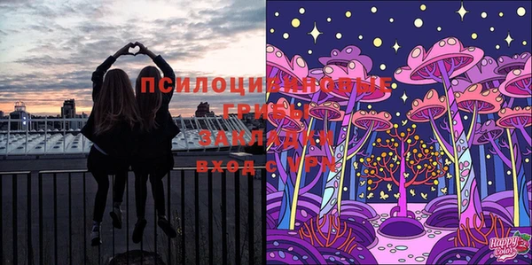 бутират Арсеньев