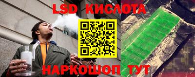 2c-b Кингисепп