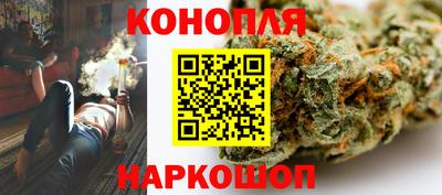 2c-b Кингисепп