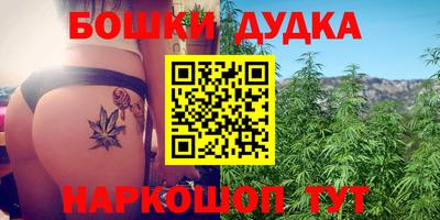 стаф Кимры